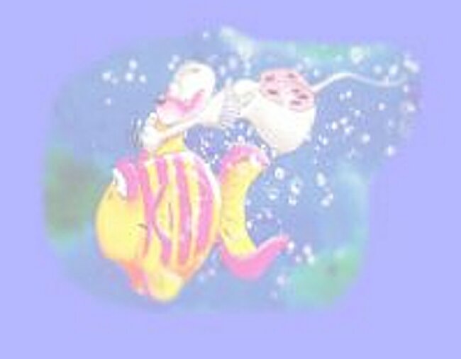 poisson.jpg