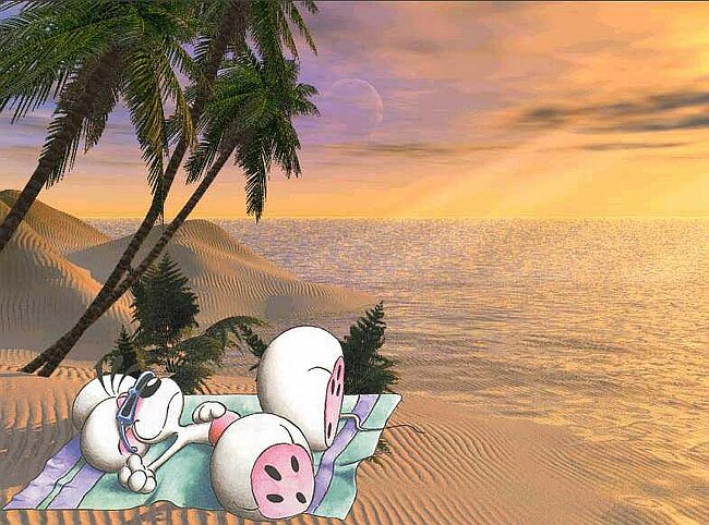 diddlplage.jpg